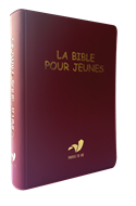 Bild von La Bible pour jeunes, avec DC