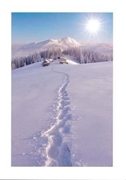Bild von Carta di auguri "tracce sulla neve"