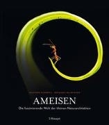 Cover-Bild zu Ameisen von Campbell, Heather